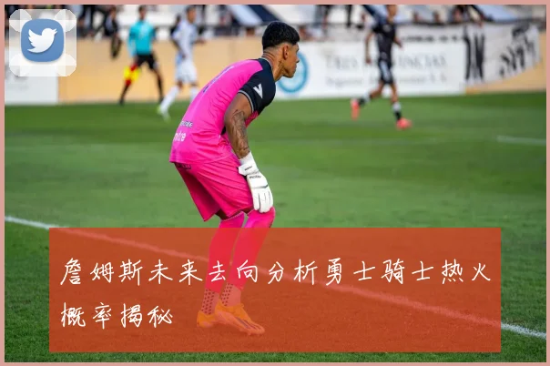 詹姆斯未来去向分析勇士骑士热火概率揭秘